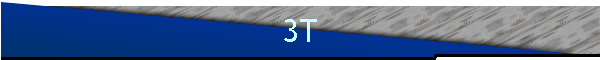 3T